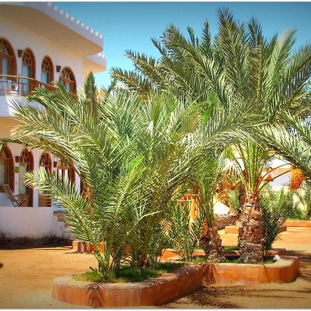 Shams Hotel & Dive Centre Νταχάμπ Εξωτερικό φωτογραφία