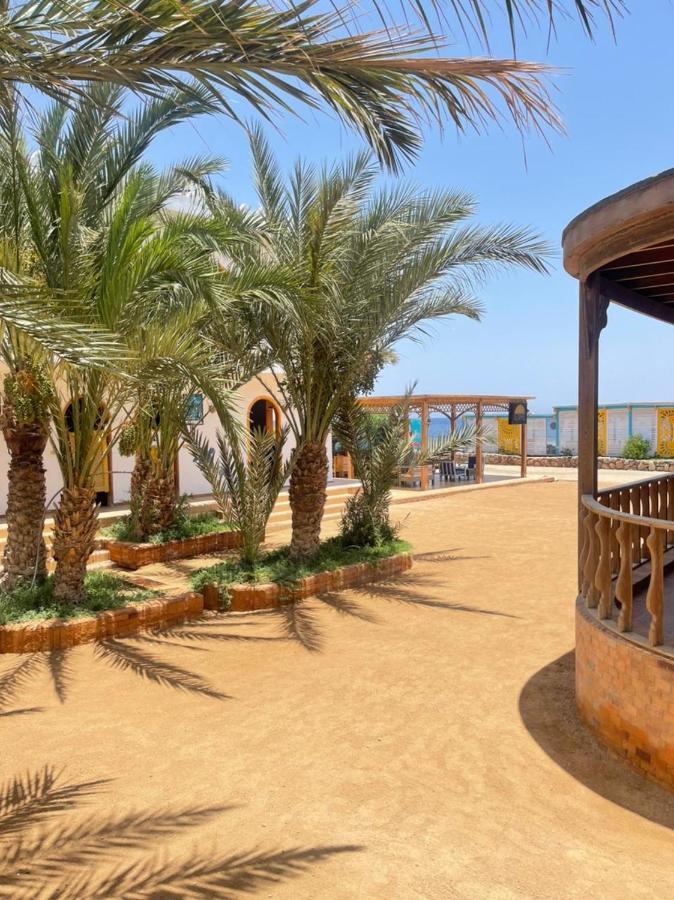 Shams Hotel & Dive Centre Νταχάμπ Εξωτερικό φωτογραφία