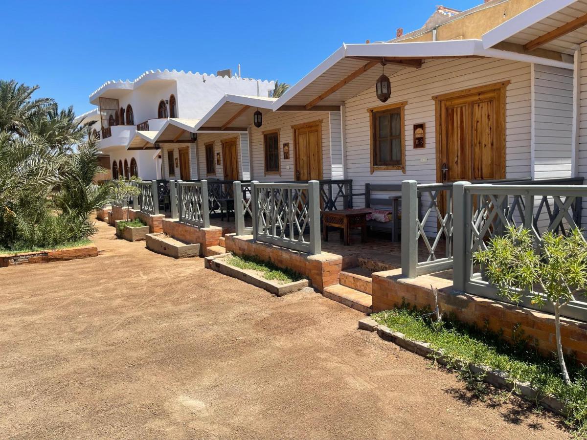 Shams Hotel & Dive Centre Νταχάμπ Εξωτερικό φωτογραφία
