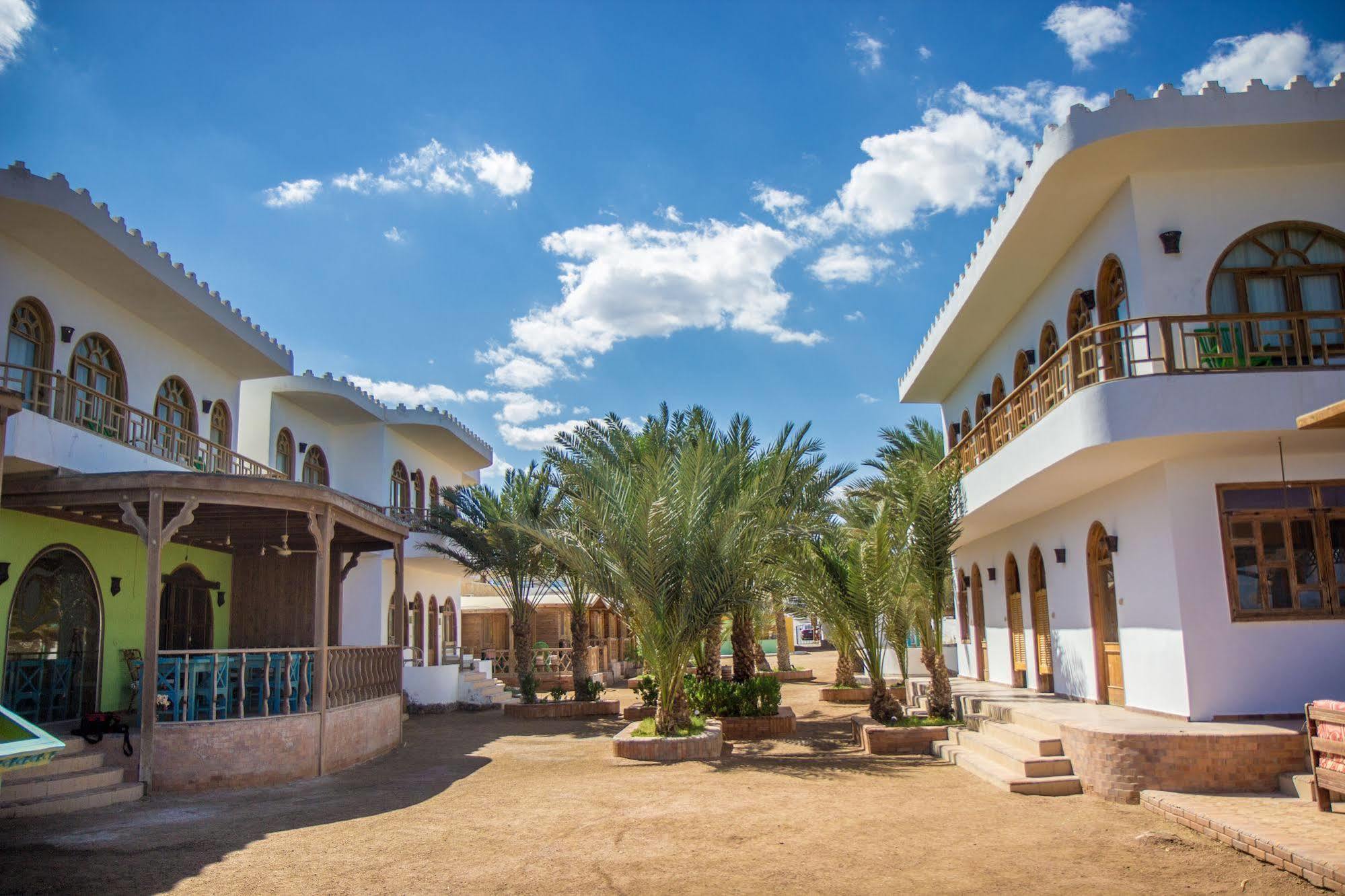 Shams Hotel & Dive Centre Νταχάμπ Εξωτερικό φωτογραφία