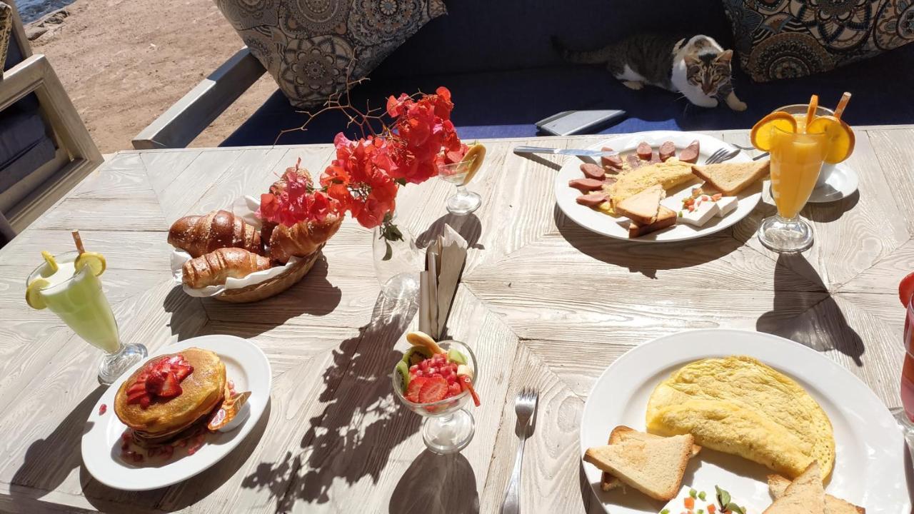Shams Hotel & Dive Centre Νταχάμπ Εξωτερικό φωτογραφία